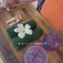 조비길 | 보홀 3일차 노스젠빌라 젠디럭스 &amp; 레스토랑 후기 :: 맹그로브숲 선셋 명소 돌조비치 JNP 다이빙센터