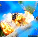 왕벌농장 이미지