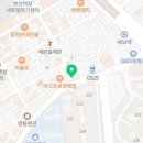 부산고양이분양 그린캣 이미지