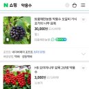 보성헛개영농조합법인 | 특수 작물, 약용 작물, 수제비누 선물 추천