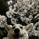 경인당 이미지