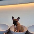 독크루북구점 이미지