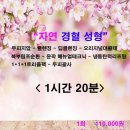 경혈테라피 네이버블로그