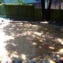 안드레아유치원 이미지