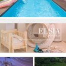 엘시아 애견풀빌라 이미지