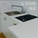 도곡리빙캐슬고시원