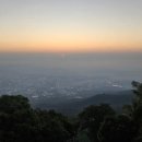 일출약국 이미지