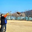 조류보호협회 밀양시지회 이미지