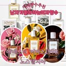25년 신제품 에네스티 러버스 1998 노스텔지아 향수 3종 후기 미스부케 가든오브파리 잉글리쉬블랙베리