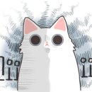 투썸플레이스 철원와수점