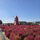 승원보아 염소나라 | 안성팜랜드 핑크뮬리 기간 가격 할인