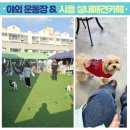 개성 | 시흥실내애견카페 실외도 있고 메뉴 다양하고 맛있는 곳