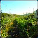 우리개발 | 김해지하수개발공사 관정 시공 후기, 우리 집도 가능할까?