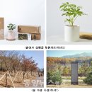 사랑이 머무는 집 2 이미지