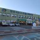 (주)메가마트천안점 | 천안 농수산물도매시장에서 방어회 산 후기!