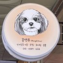 몽앤츄 이미지