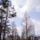 철길숲(학산동) 이미지