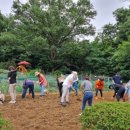 탄현공원 이미지