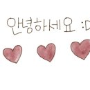 댕글하우스 이미지