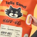 캣 팰리스 이미지