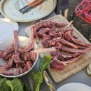 정촌유기농원 이미지