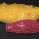 예그린한의원 이미지