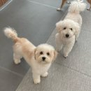 황자반놀이터 이미지