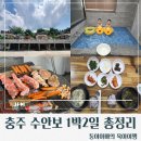 상록수펜션 | 온천여행1박2일 총정리/온천여행코스추천/아이랑온천여행/리몬스온천호텔/충주독채펜션/수안보맛집식당