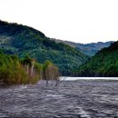 세보식품 이미지