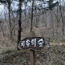 네이처컬렉션전북삼례점 | 완주여행 #로망스투어 로 다녀온 솔직후기 적어봅니다
