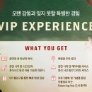 알레그리아 이미지