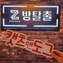 도그 앤 캣츠 | 울산 방탈출 카페 성남동 놀거리 제트방탈출 아이와 캣츠앤도그