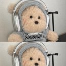 (6.22-28)그냥그냥 보통의 한 주