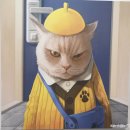 고양이 미용 캣어스(cat : us) | 인생경험 / 제2회 국제캣산업박람회 방문후기 2