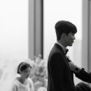 세인트41 이미지