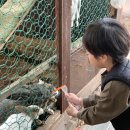 파주임진강꿀벌 | 파주 아이랑 가볼 만한 곳/ 하니랜드 파주 놀이동산 놀이공원