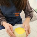 미니정원(테라리움) | 전주 주간보호센터 단체체험 추천/ 조개오브제와 미니테라리움 만들기 수업후기