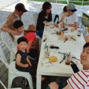 태양팜스 이미지