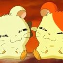 귀염댕이 이미지