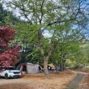 우산캠핑장 이미지