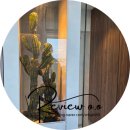 펜톤나인 2호점 이미지