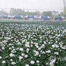 우박이네 이미지