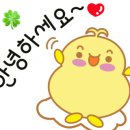 입장금강공인중개사사무소 네이버블로그