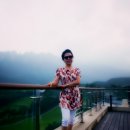 진부중앙로 이미지