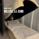 에스트니스화월