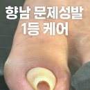손토비발토비