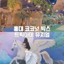 아이와 | 여름 실내 데이트 코스 홍대 트릭아이뮤지엄 & 코코넛박스 아이와 방문 후기