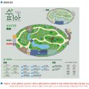 수피아 | 부천, 아이 데리고 갈 수 있는 실내데이트 코스 '수피아식물원' 후기