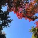 둔촌대로64번길 이미지