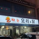 불타는 오리&닭 이미지